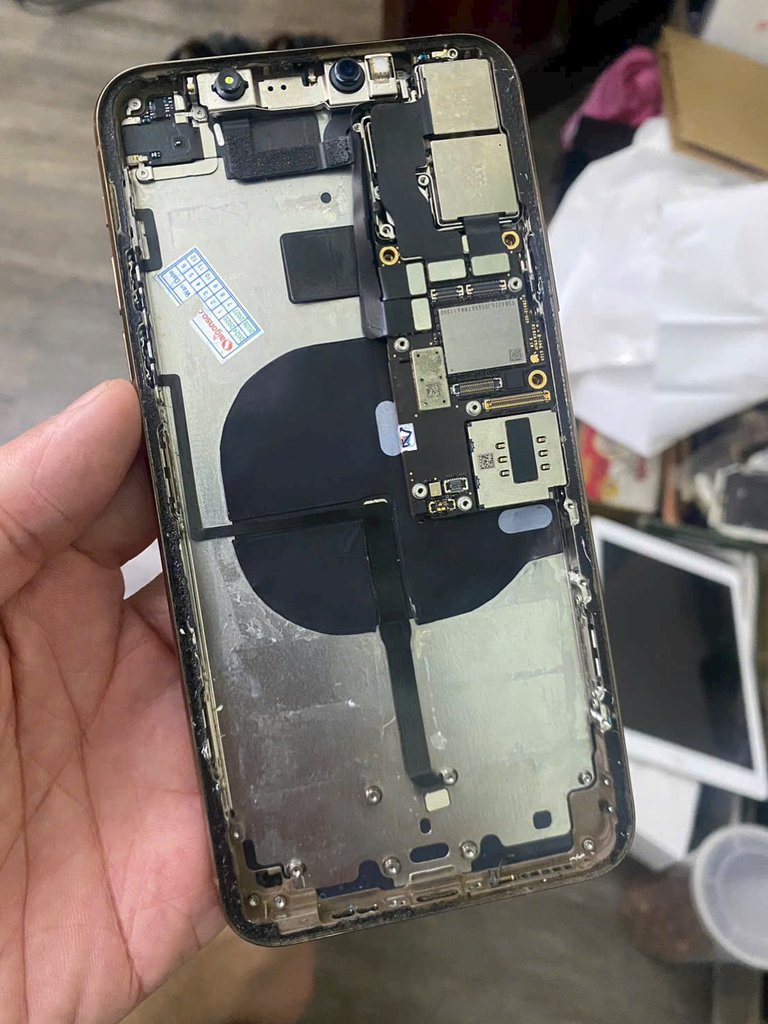 60356B2E-0936-405B-8E0D-FFF251519883.