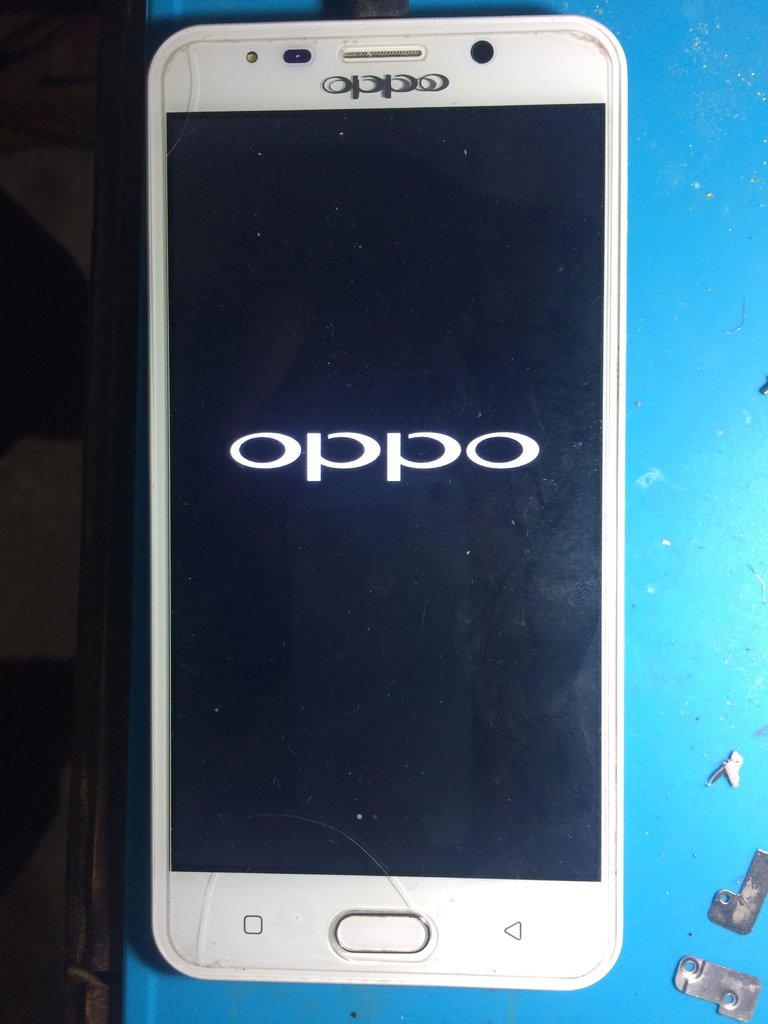 fake oppo f1s