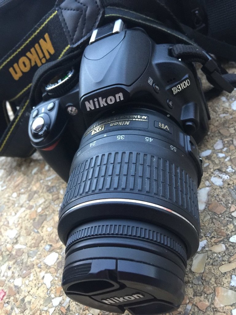Nikon D3100.