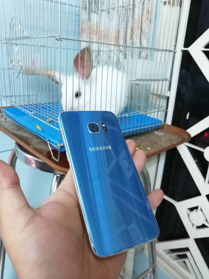 Samsung Galaxy S7 Edge Blue Coral...