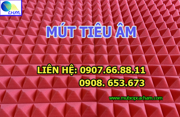 mut-tieu-am.90.