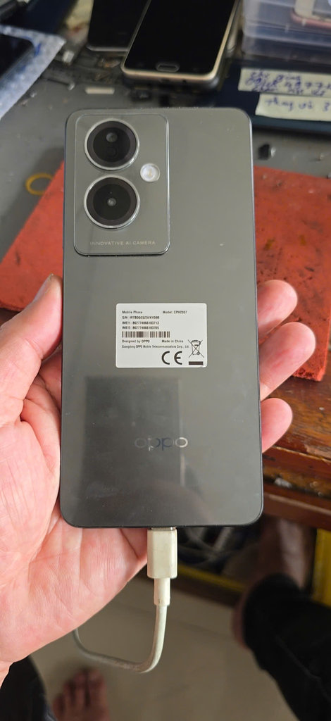 Z61736~2.JPG