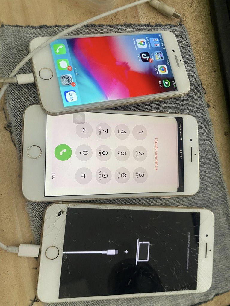 516776386_10229879404074078_4777072415854902383_n.